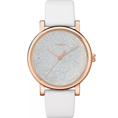 ساعت مچی تایمکس مدل TW2R95000 - timex watch tw2r95000  