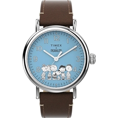 ساعت مچی تایمکس مدل TW2V89800 - timex watch tw2v89800  