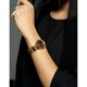 ساعت مچی تروساردی مدل R2453125509