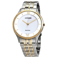 ساعت مچی سیتیزن مدل AR0074-51A - citizen watch ar0074-51a  