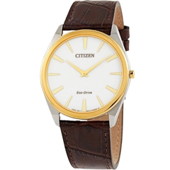ساعت مچی سیتیزن مدل AR3074-03A - citizen watch ar3074-03a  