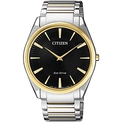 ساعت مچی سیتیزن مدل AR3078-88E - citizen watch ar3078-88e  