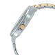 ساعت مچی کاسیو مدل MTP-VD01SG-9BVUDF